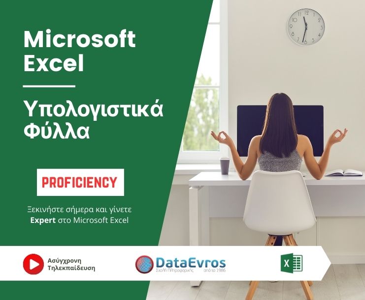 Υπολογιστικά Φύλλα Microsoft Excel Proficiency level