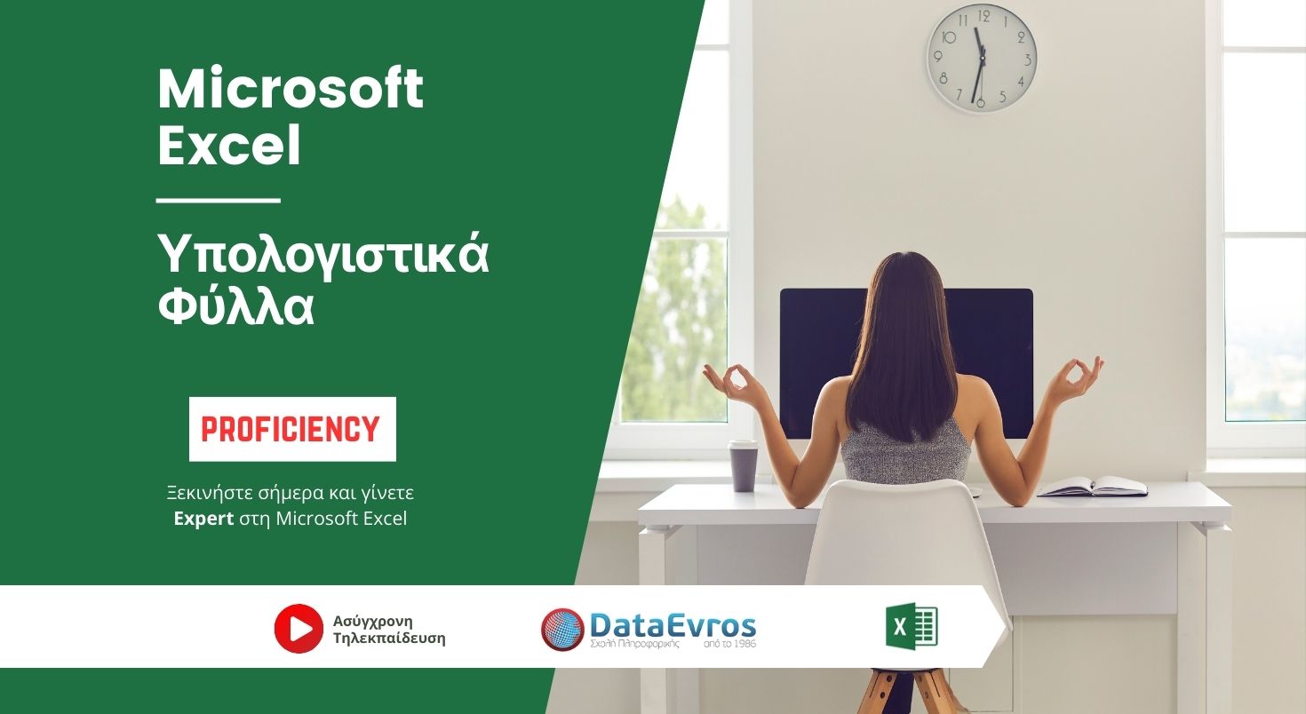 Υπολογιστικά Φύλλα Microsoft Excel Proficiency level